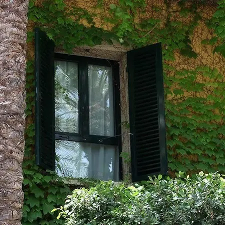 Jardín Milenio Elche
