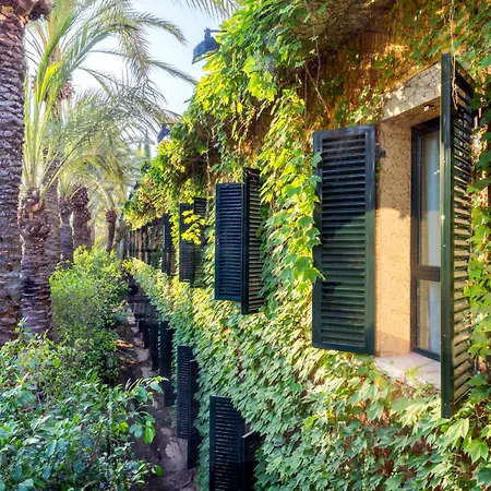 Port Jardin Milenio 4* إلتشه