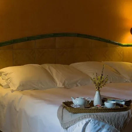 Jardin Milenio Hotel 4*