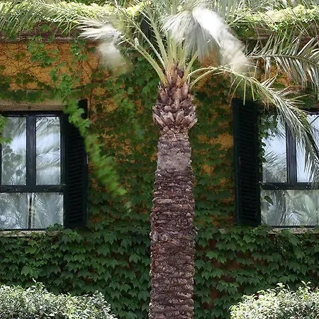 Jardin Milenio Hotel